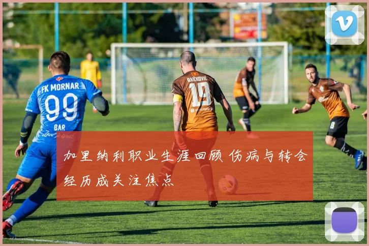 加里纳利职业生涯回顾 伤病与转会经历成关注焦点