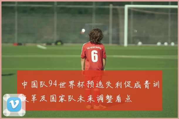 中国队94世界杯预选失利促成青训改革及国家队未来调整看点
