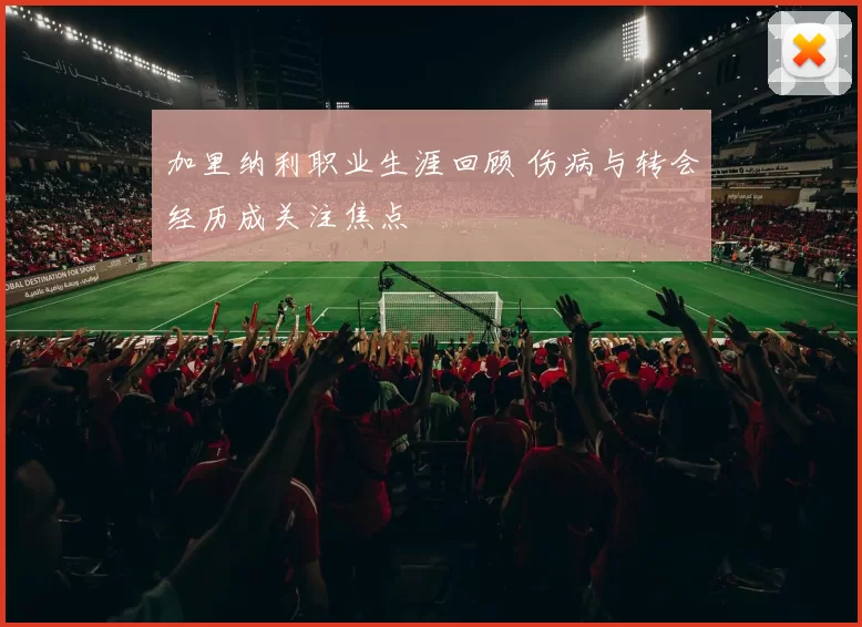 加里纳利职业生涯回顾 伤病与转会经历成关注焦点